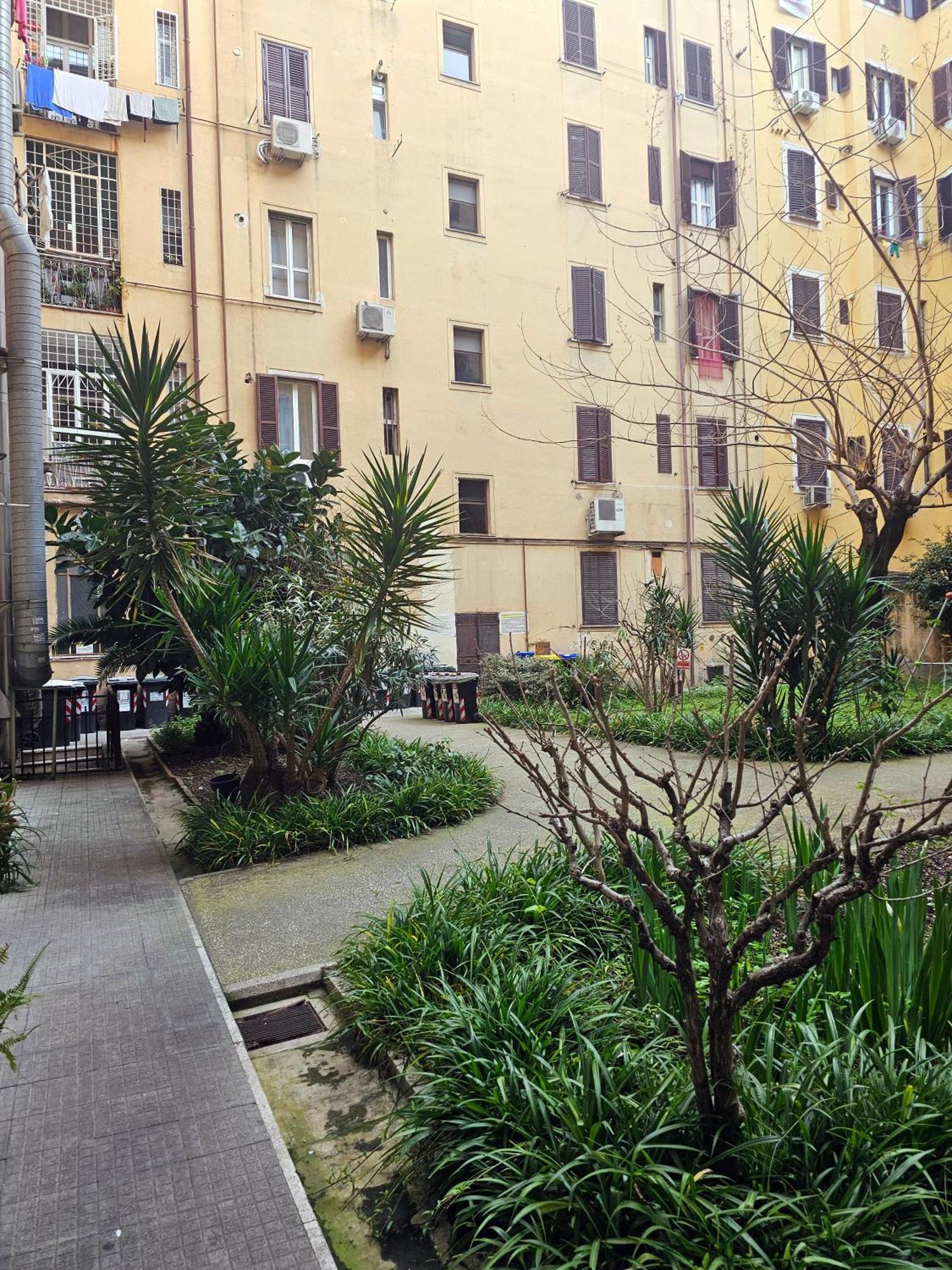 Cialdini 13 Roma Hotel Exterior foto
